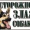 Таблички «Осторожно! Злая собака»